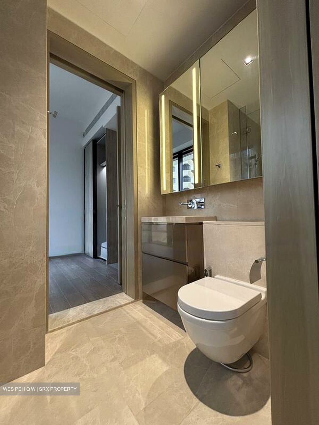 Klimt Cairnhill (D9), Apartment #484083461